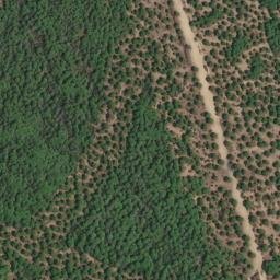 Satellite imagery of survey_point, DZ
