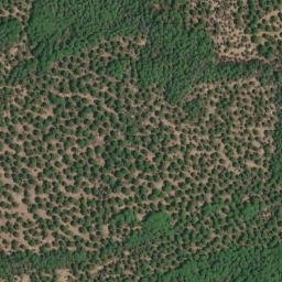 Satellite imagery of survey_point, DZ