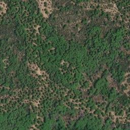 Satellite imagery of survey_point, DZ