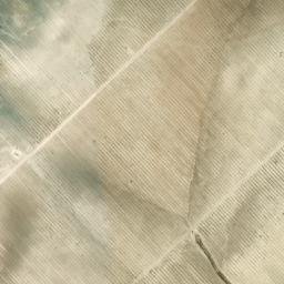 Satellite imagery of survey_point, DZ