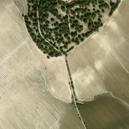 Satellite imagery of survey_point, DZ