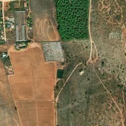 Satellite imagery of survey_point, DZ