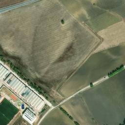 Satellite imagery of survey_point, DZ