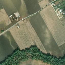 Satellite imagery of survey_point, DZ