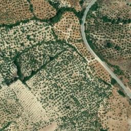 Satellite imagery of survey_point, DZ