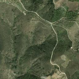 Satellite imagery of survey_point, DZ