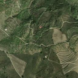 Satellite imagery of survey_point, DZ