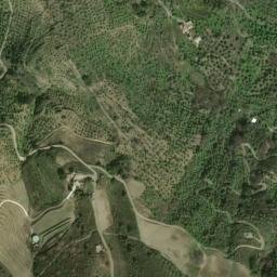 Satellite imagery of survey_point, DZ