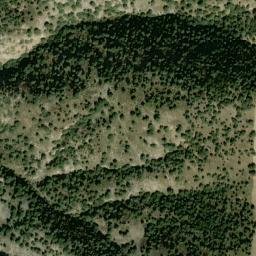Satellite imagery of survey_point, DZ