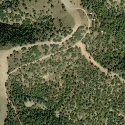 Satellite imagery of survey_point, DZ