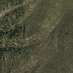 Satellite imagery of survey_point, DZ