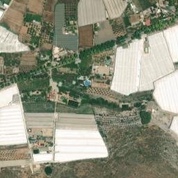 Satellite imagery of survey_point, DZ