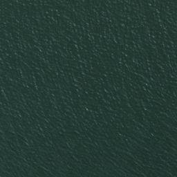 Satellite imagery of survey_point, DZ