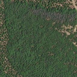Satellite imagery of survey_point, DZ