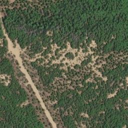 Satellite imagery of survey_point, DZ
