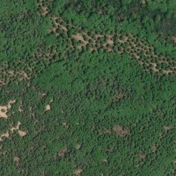 Satellite imagery of survey_point, DZ