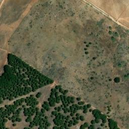 Satellite imagery of survey_point, DZ