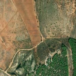 Satellite imagery of survey_point, DZ