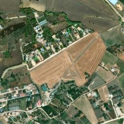 Satellite imagery of survey_point, DZ