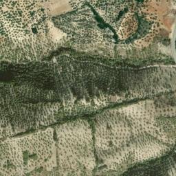Satellite imagery of survey_point, DZ