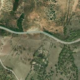 Satellite imagery of survey_point, DZ