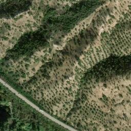 Satellite imagery of survey_point, DZ