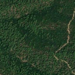 Satellite imagery of survey_point, DZ