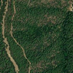 Satellite imagery of survey_point, DZ