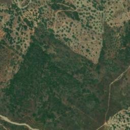 Satellite imagery of survey_point, DZ