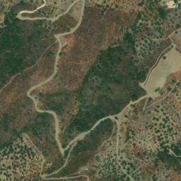 Satellite imagery of survey_point, DZ