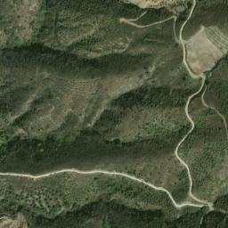 Satellite imagery of survey_point, DZ