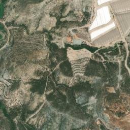 Satellite imagery of survey_point, DZ