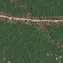 Satellite imagery of survey_point, DZ