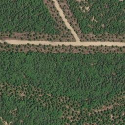 Satellite imagery of survey_point, DZ