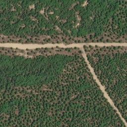 Satellite imagery of survey_point, DZ