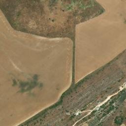 Satellite imagery of survey_point, DZ