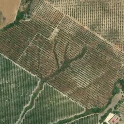 Satellite imagery of survey_point, DZ