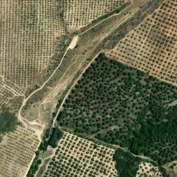 Satellite imagery of survey_point, DZ