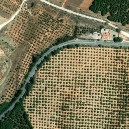 Satellite imagery of survey_point, DZ