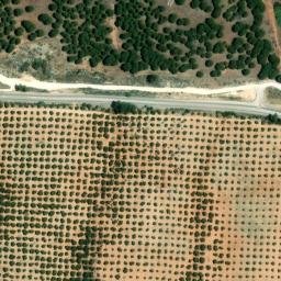 Satellite imagery of survey_point, DZ