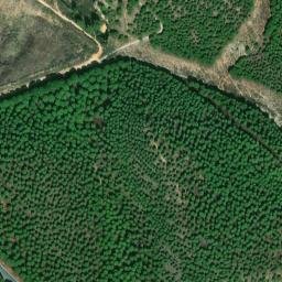 Satellite imagery of survey_point, DZ