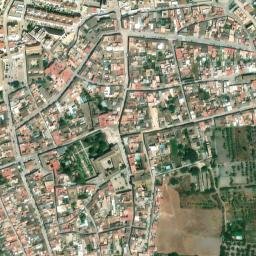 Satellite imagery of survey_point, DZ