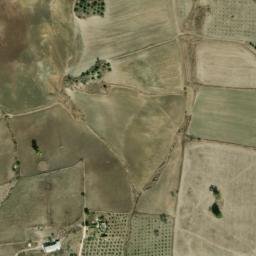 Satellite imagery of survey_point, DZ