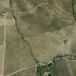 Satellite imagery of survey_point, DZ