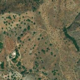 Satellite imagery of survey_point, DZ