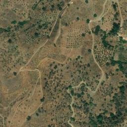 Satellite imagery of survey_point, DZ