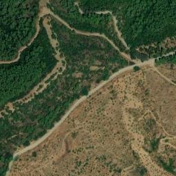 Satellite imagery of survey_point, DZ
