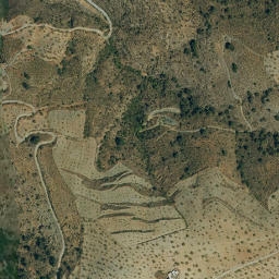 Satellite imagery of survey_point, DZ