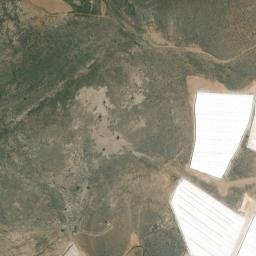 Satellite imagery of survey_point, DZ