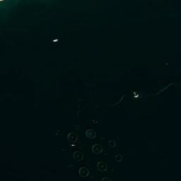 Satellite imagery of survey_point, DZ